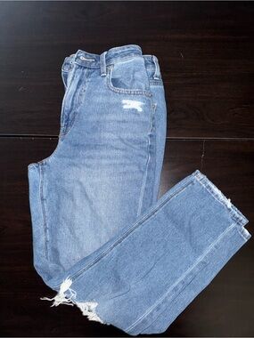 American Eagle Outfitters Light Blue Distressed Mom Jeans 2 Short
